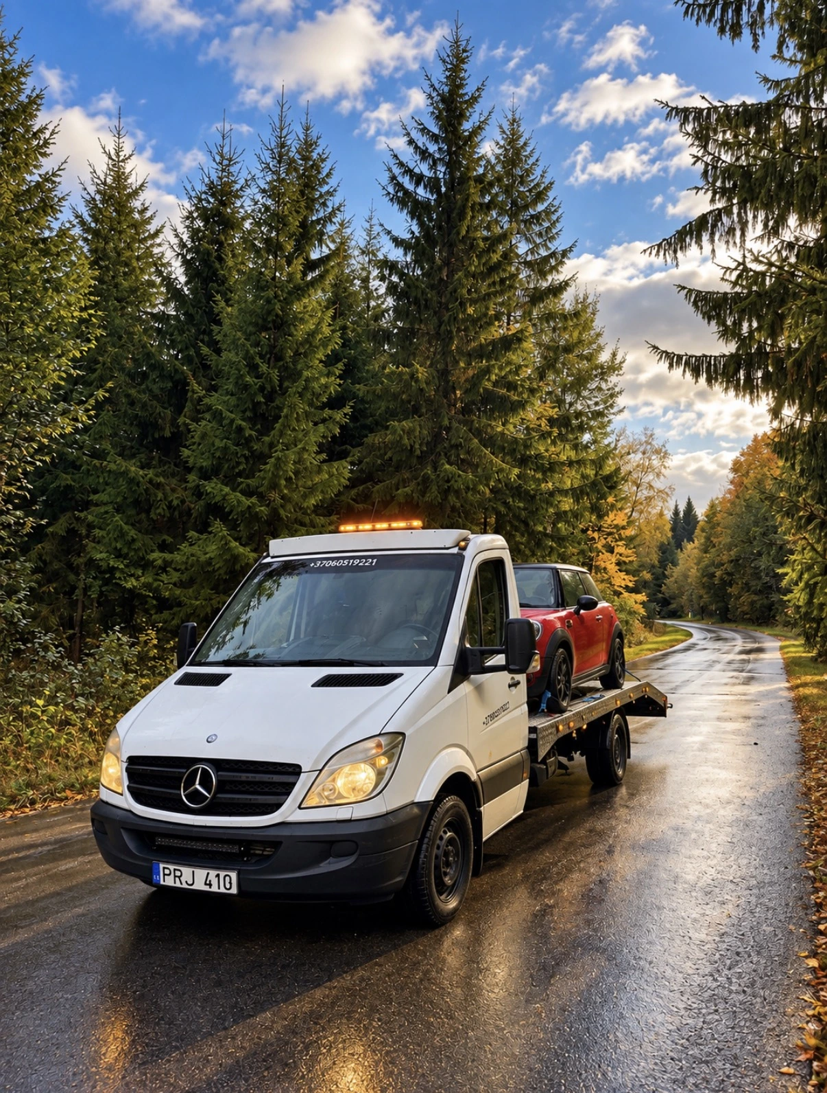 Tralas su raudonu automobiliu miško kelyje
